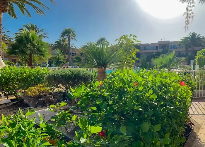 Апарт-отель La Primera Duna - Residencial Dunas 4*